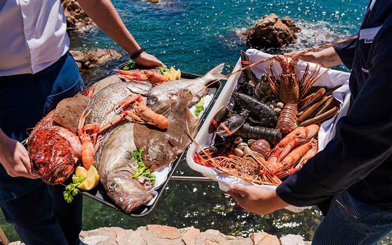 Gastronomic campaign of Rock Fish, Hotel Aigua Blava